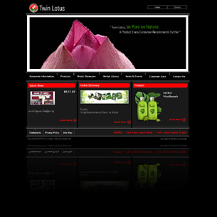 Client : Twin Lotus Co., Ltd.<br>Project : Website & Application Development